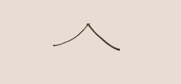 一大一小两棵松树的简笔画