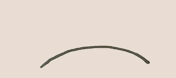 枝繁叶茂的柳树简笔画