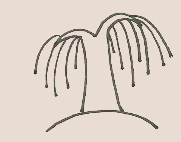 枝繁叶茂的柳树简笔画