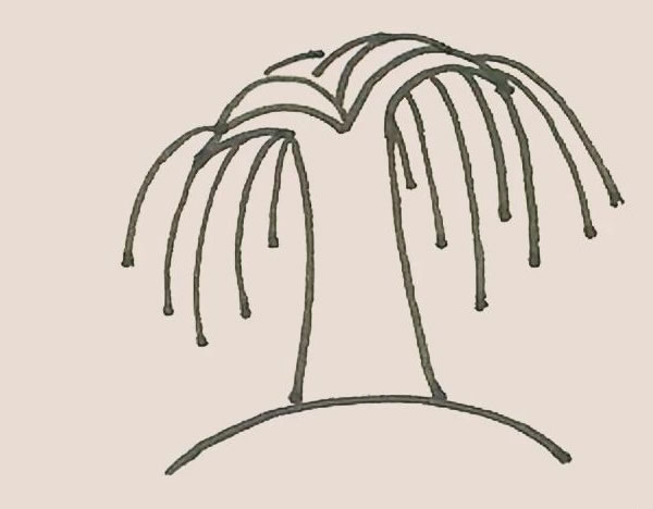 枝繁叶茂的柳树简笔画