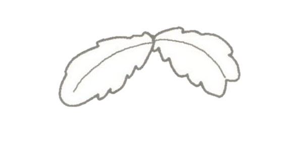 椰子树简笔画的画法步骤