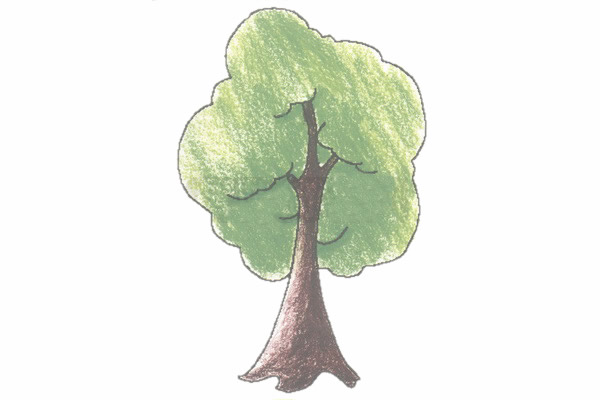 带颜色的小树简笔画怎么画