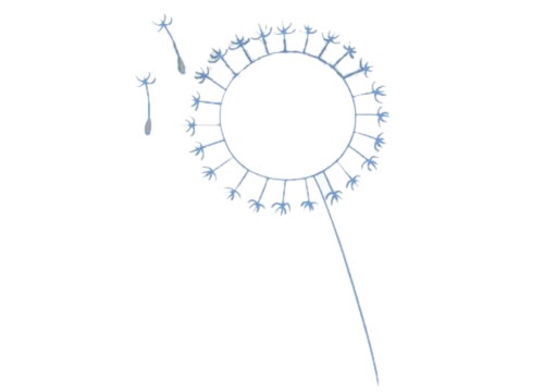 简单易学的蒲公英简笔画