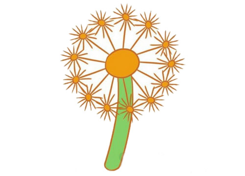 带颜色的蒲公英简笔画