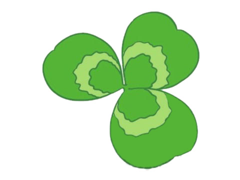 关于三叶草的简笔画