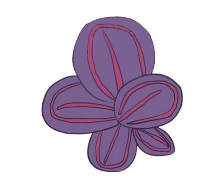 紫色的竹芋简笔画