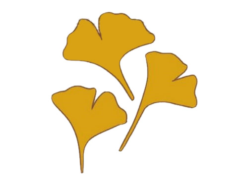 几片泛黄的银杏叶简笔画