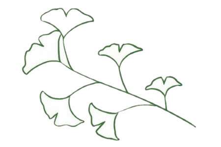 树枝上的银杏叶简笔画