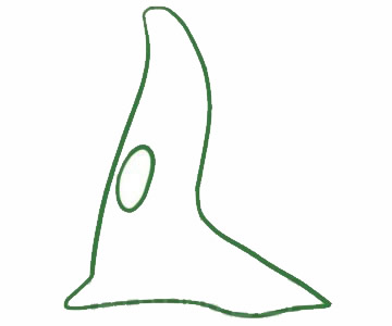 关于柳树的简笔画教程