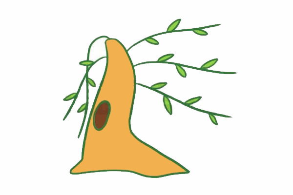 关于柳树的简笔画教程