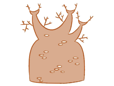 粗壮的面包树简笔画