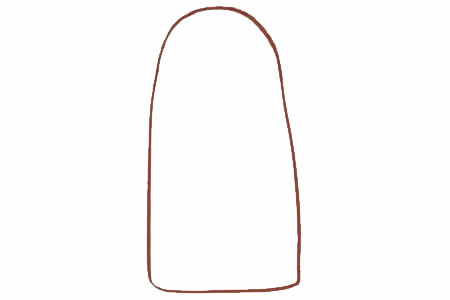 带颜色的面包树简笔画教程