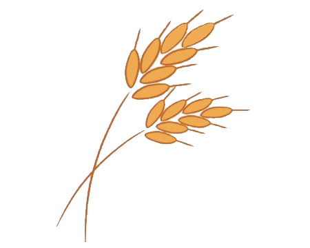 超简单适合幼儿的麦穗简笔画