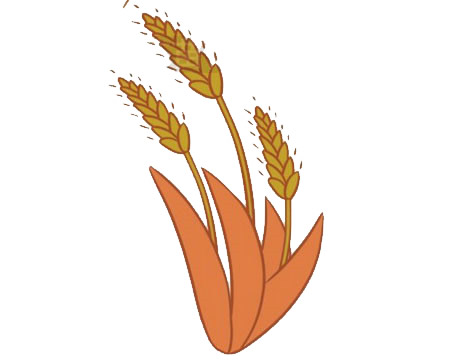 关于麦穗的儿童简笔画