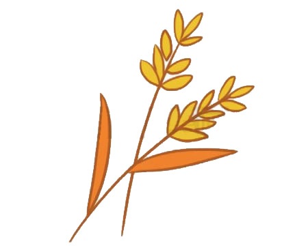 麦穗怎么画简单又好看