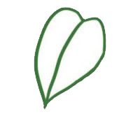 漂亮的绿萝简笔画教程