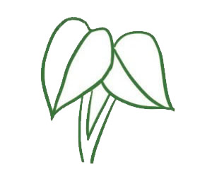 漂亮的绿萝简笔画教程