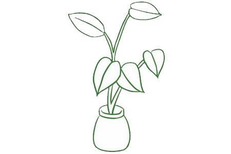 漂亮的绿萝简笔画教程