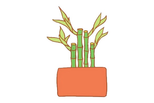 富贵竹盆栽简笔画