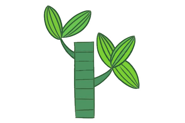 带颜色的富贵竹简笔画教程