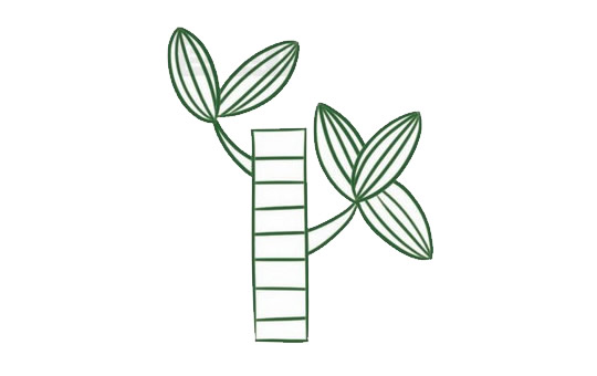 带颜色的富贵竹简笔画教程