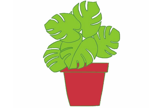 龟背竹盆栽简笔画