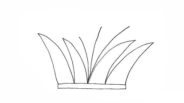 涂色的香蒲简笔画教程