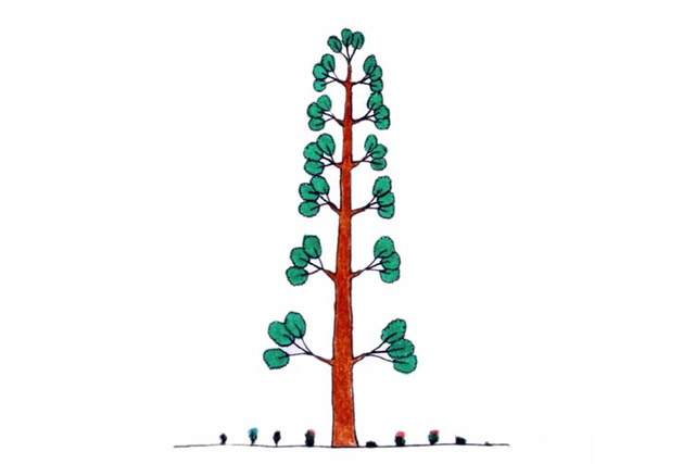 一组漂亮的大树简笔画大全