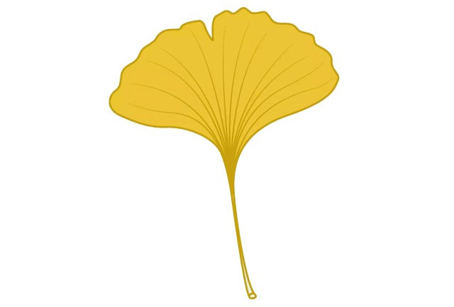 黄色的银杏叶简笔画教程