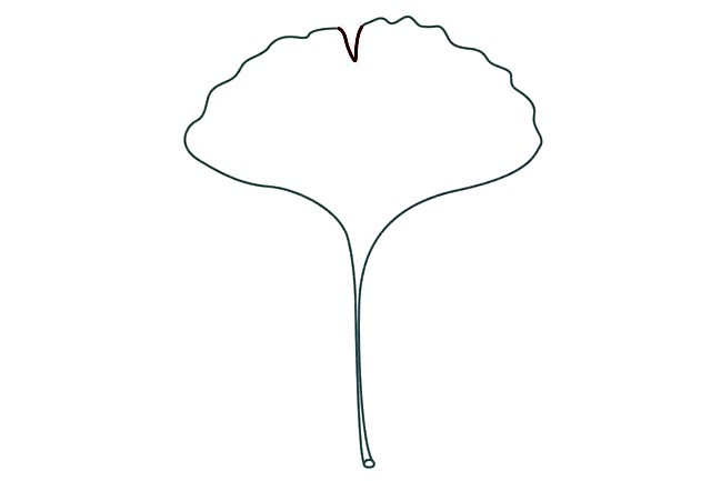 黄色的银杏叶简笔画教程