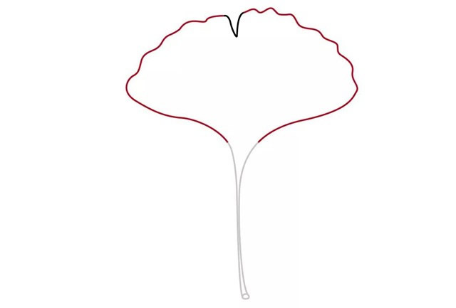 黄色的银杏叶简笔画教程