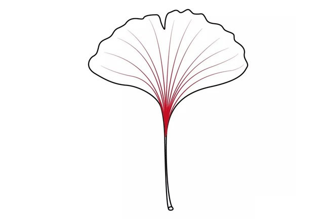 黄色的银杏叶简笔画教程