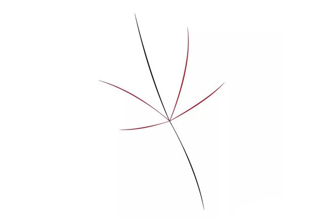 带颜色的枫叶简笔画怎么画