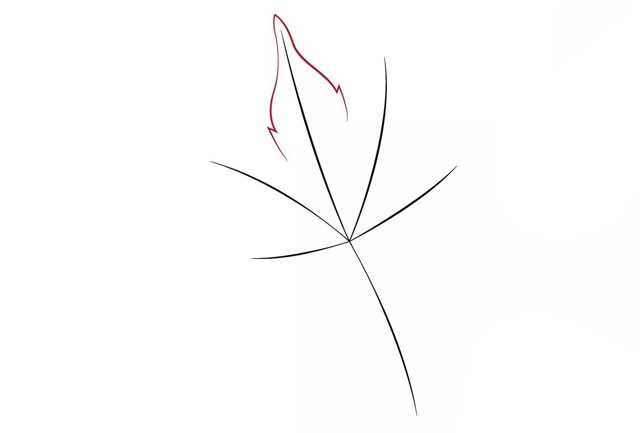带颜色的枫叶简笔画怎么画