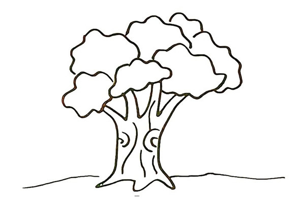 一步步教你画漂亮的大榕树