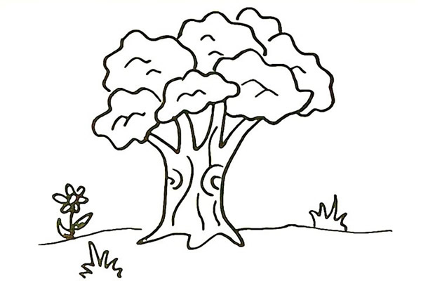 一步步教你画漂亮的大榕树