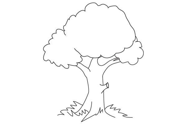 四步学会画一颗简单的大树