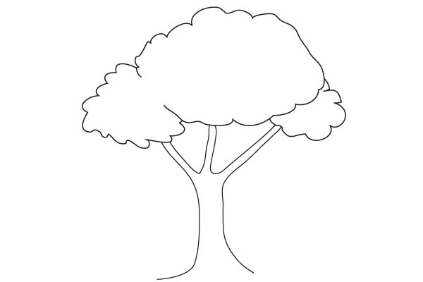 四步学会画一颗简单的大树