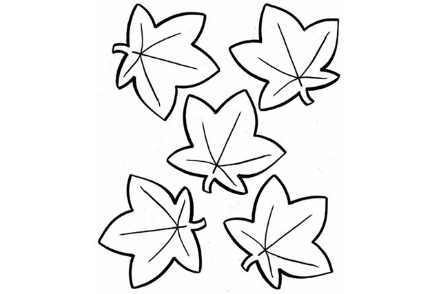 分享几幅枫叶的简笔画