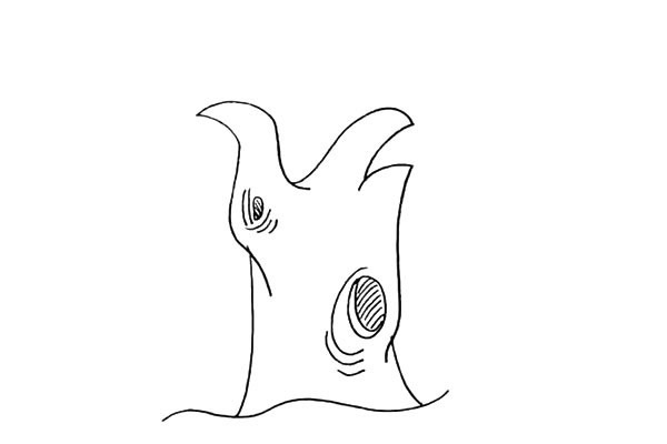 带颜色的柳树简笔画怎么画