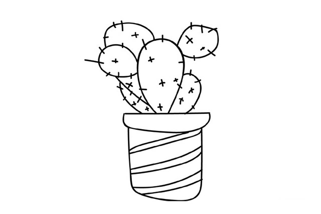 3幅仙人掌手绘简笔画