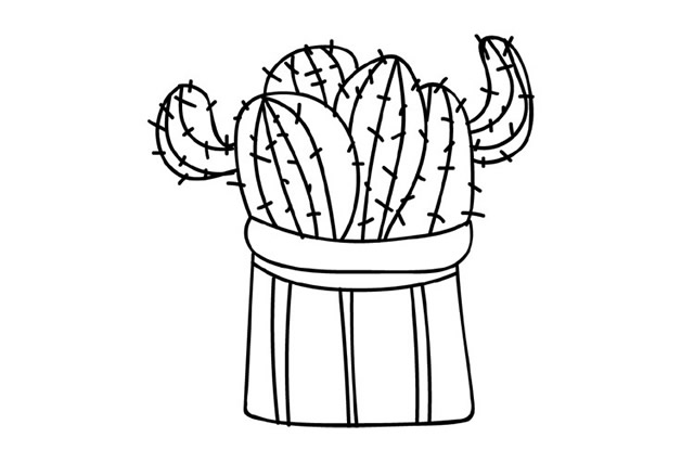3幅仙人掌手绘简笔画