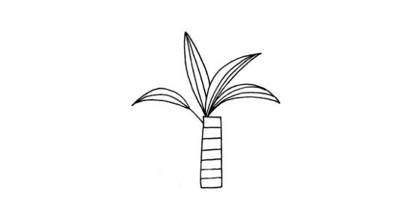 儿童学画富贵竹简笔画步骤教程