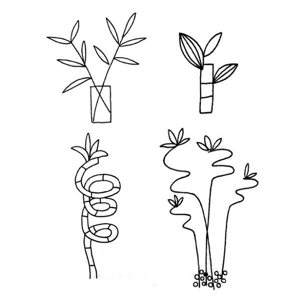 儿童学画富贵竹简笔画步骤教程