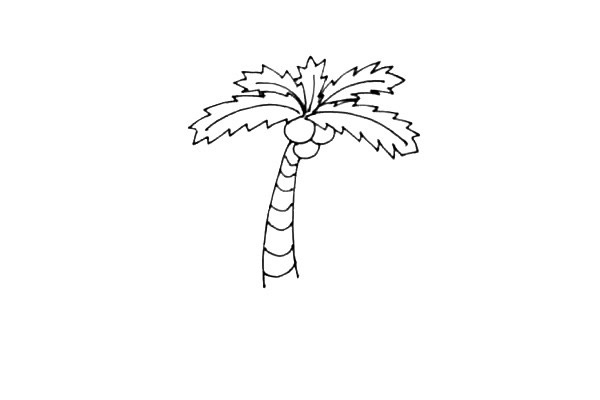 海岛上的椰树简笔画教程