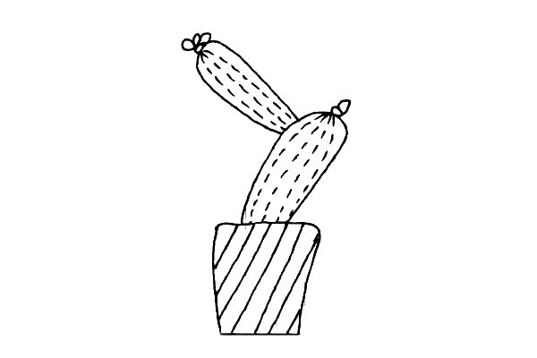 11款可爱的仙人掌简笔画大全(仙人兜可爱图片)