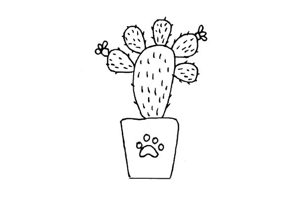 11款可爱的仙人掌简笔画大全