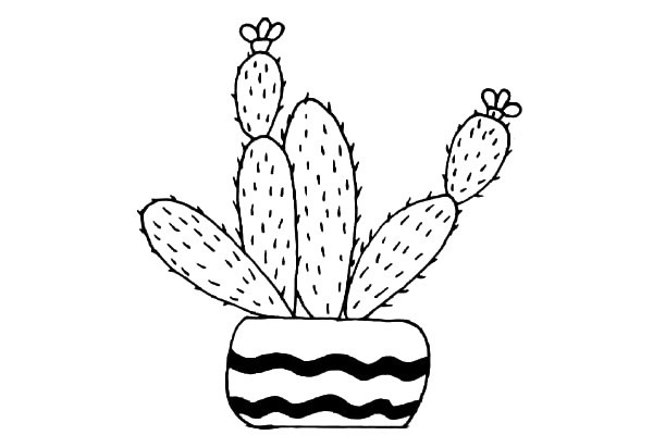 11款可爱的仙人掌简笔画大全