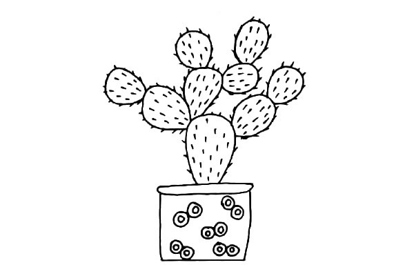 11款可爱的仙人掌简笔画大全