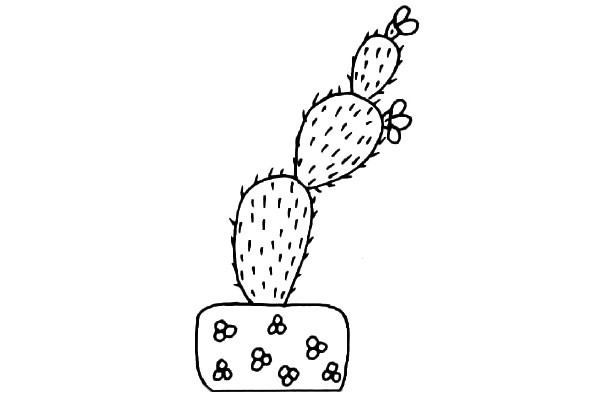 11款可爱的仙人掌简笔画大全